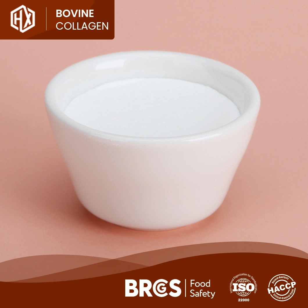 Haoxiang Bovine Bone Hydrolyzed Collagen Peptides Health Food Grade Cheap Price Protein Powder China Manufacturing OEM Custom Free Sample Collagen Powder