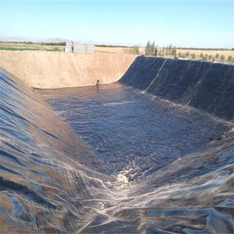 1mm/1.5mm/2mm Geomembrane/Membrane HDPE Fish Shrimp Pond Dam Liner for Landfill/Biogas/Mining/Wildlife Lake/Floating Covers/Reed Bed