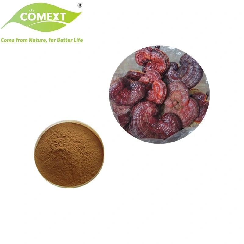 Comext Free Smple Factory Direct Organic Reishi Mushroom Extract Deep Brown Powder for Healthcare Supplment