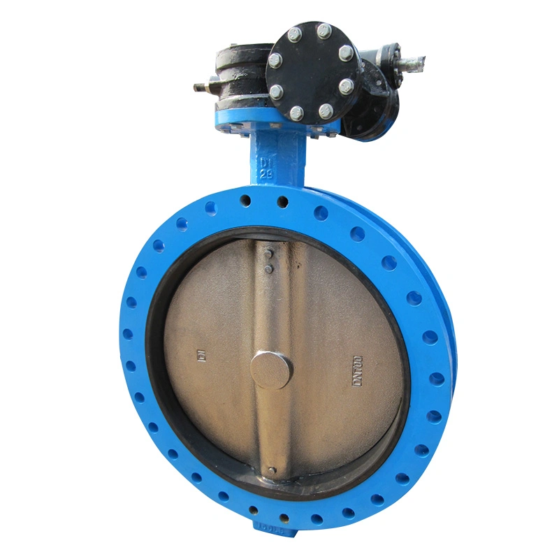 U-Section Type Pin/Pinless Double Flange Butterfly Valve A395/A536 Body and CF8m Disc