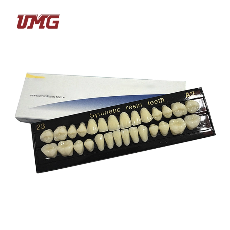 Dos capas de resina sintética de los dientes artificiales para la venta