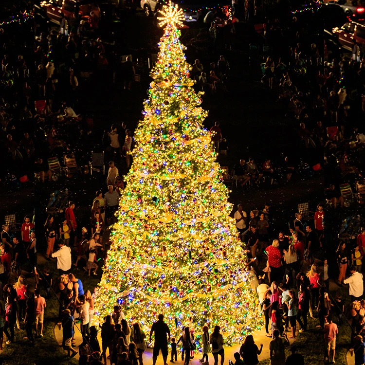 6m 8m 10m 15m 20m Giant Christmas Tree with LED Light Christmas Ball