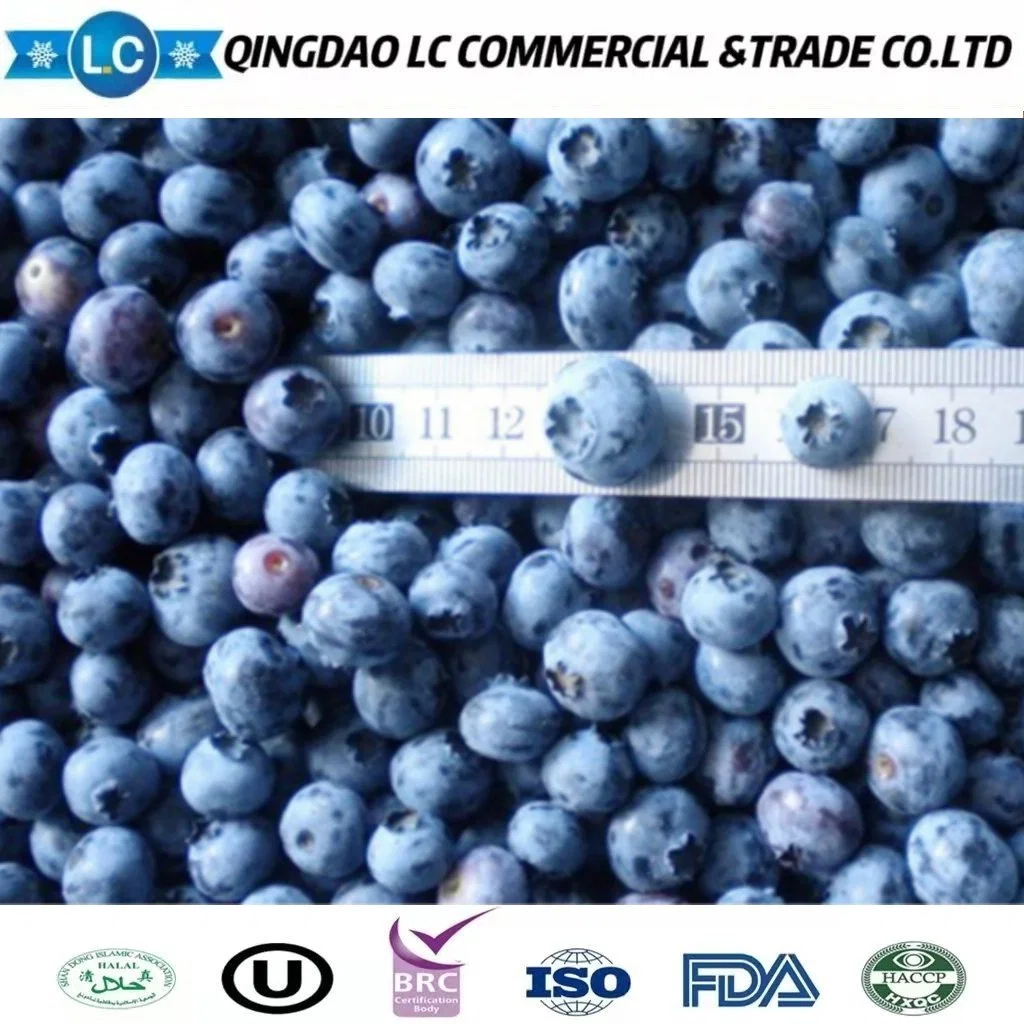 Marcas chinas fruta a granel cultivada de alta calidad Azulejos congelados IQF Precios de arándanos silvestres