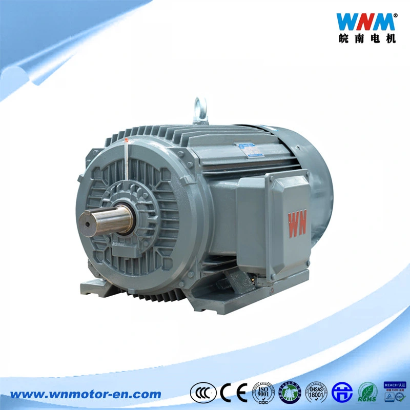 Aluminum or Cast Iron Shell Three Phase AC Induction Motor Foot or Flange Mounted