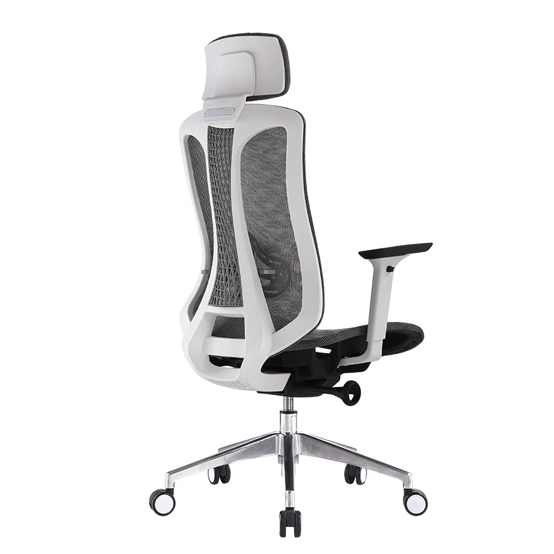 New Design Professional Ergonomic Office Chair Racing Gaming Chair