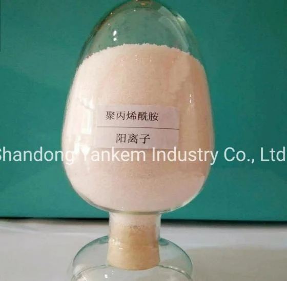 Water Treatment Chemicals/Water Purifier/Flocculant/PAM