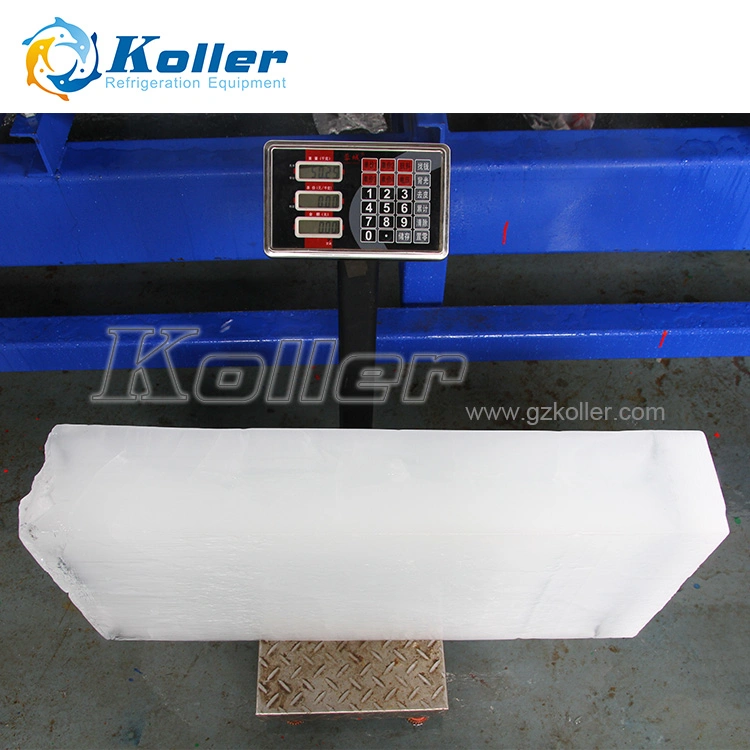 Dk100 Koller Best Price 10ton Ice Block Machine in Africa for Fishery