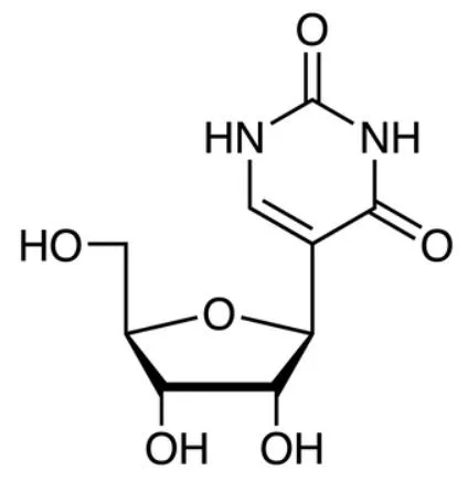 Factory Supply Hight Quality &beta; -Pseudouridine CAS 1445-07-4