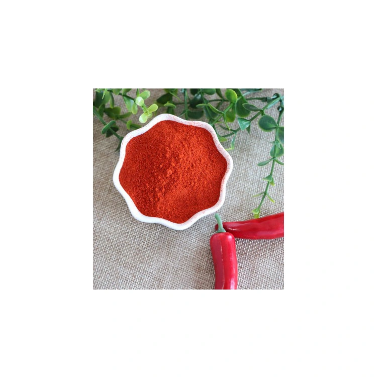 New Crop Top Quality Dried Red Chilli