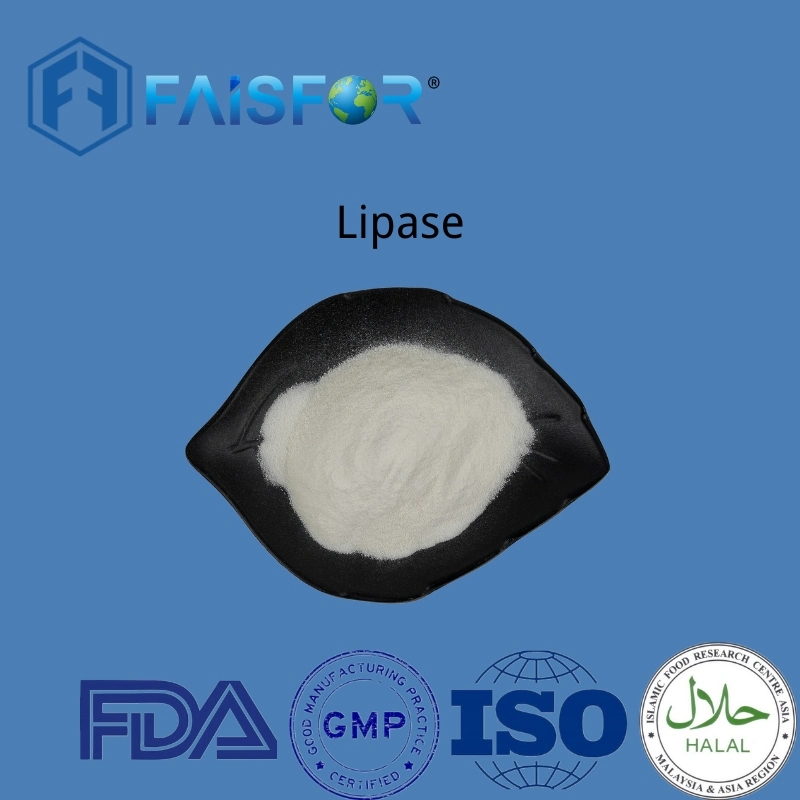 Food Additive Lipase for Food and Animal Feed