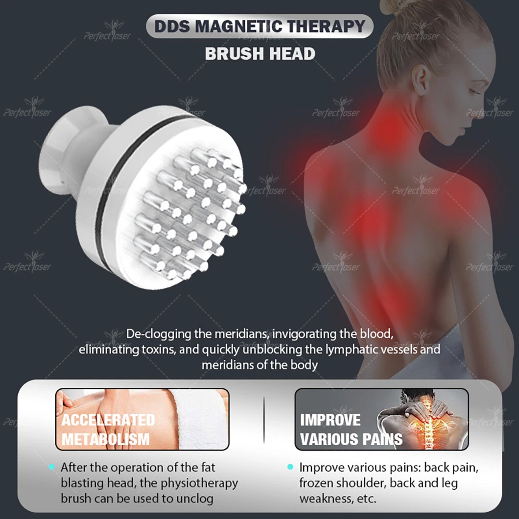 L'efficacité minceur de cavitation 80 kHz Lipolaser RF de dépression de la machine de l'équipement de beauté Maquina