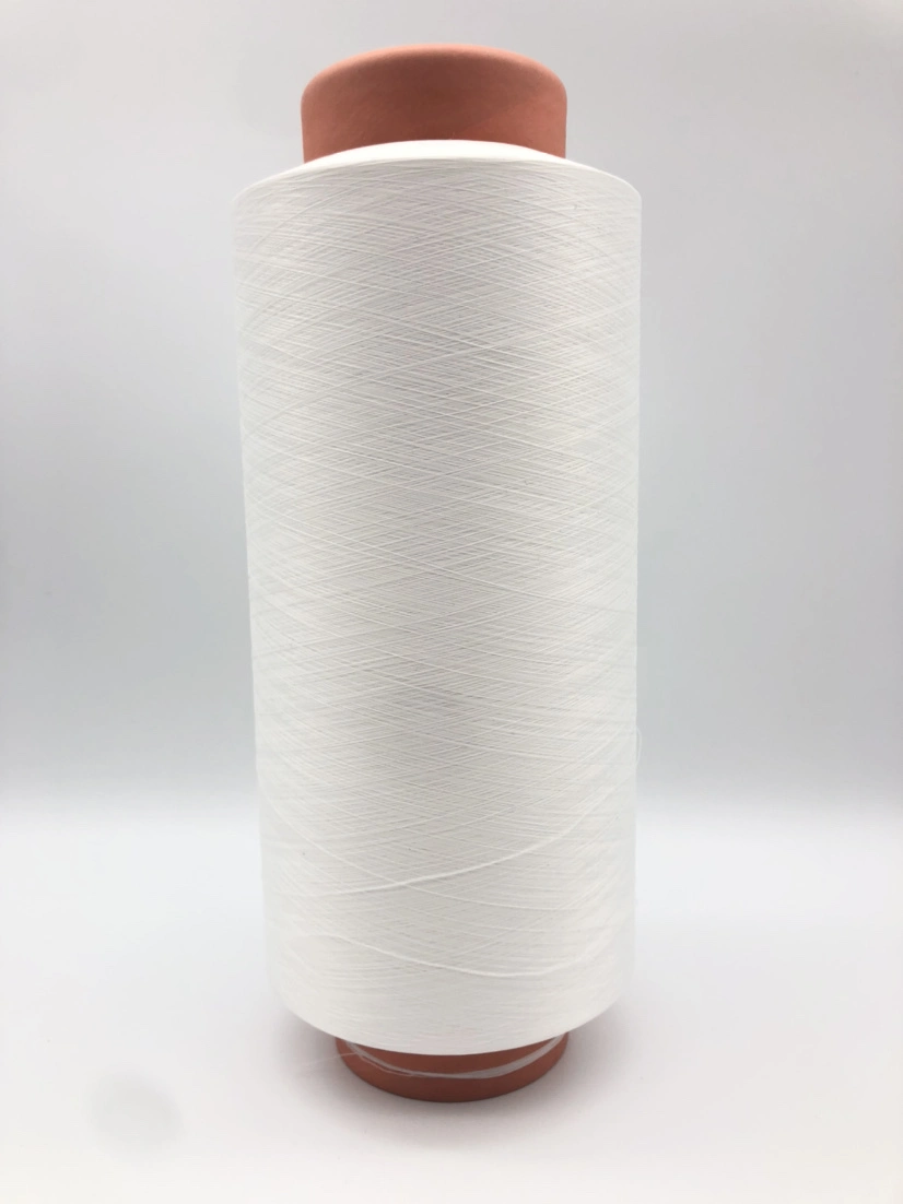 Original Factory Supplier Price Ear Rope Nylon 6 70/24/2 Texture Earloop Seamless Underwear DTY Yarn