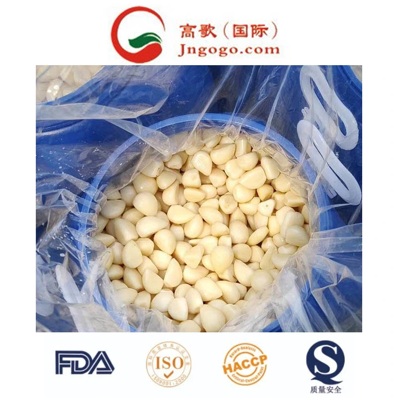 Hot Selling for Garlic Cloves in Brine From China