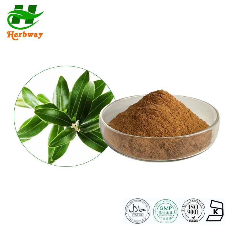 Herbway Kosher Halal Fssc Certified Manufacturer Price Natural Plant Extract 10% Hydroxytyrosol Olive Leaf Powder