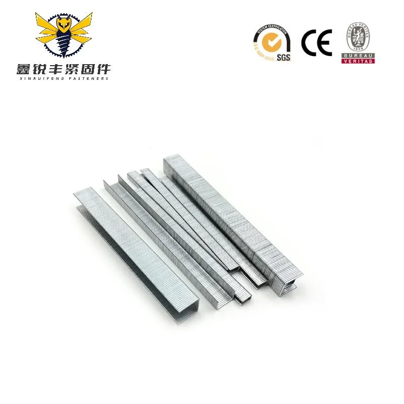 China Hot Sales de qualidade superior galvanizou 24/6 Office Staples