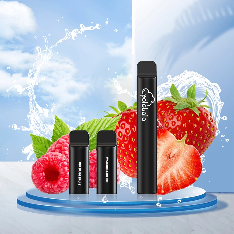 2023 2ml E Liquid 400mAh Rechargeable Mesh Coil Premium Quality Disposable/Chargeable Vape Pen Puff Vape Pen E Cigarette Vaporizer 600 Puffs Atomizer