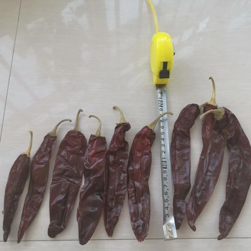 Wholesale/Supplier Dry Pepper Red Hot Chilli