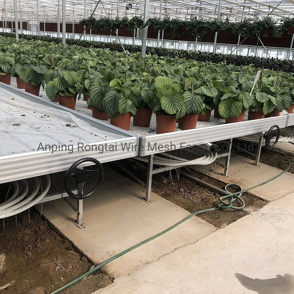 Seedbed Planting and Growing LED Grow Light Table Ebb and Flow Rolling Bench System