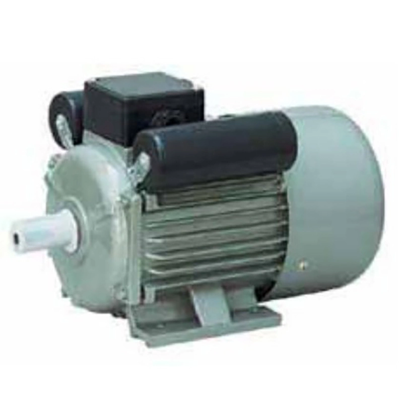 Single Phase Motor Electric Engine Two Speed Industrial Yl Yc Series Synchronous Asynchronous Step 220V Machine Drive for Fans Blowers AC Speed Capacitor Motors