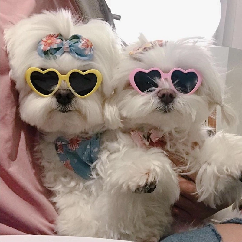 Домашние животные очки собаки Одежда Кута PET Рождественские Весёлые очки сердце Очки для солнцезащитных очков Cat Pet Supplies Аксессуары для очков