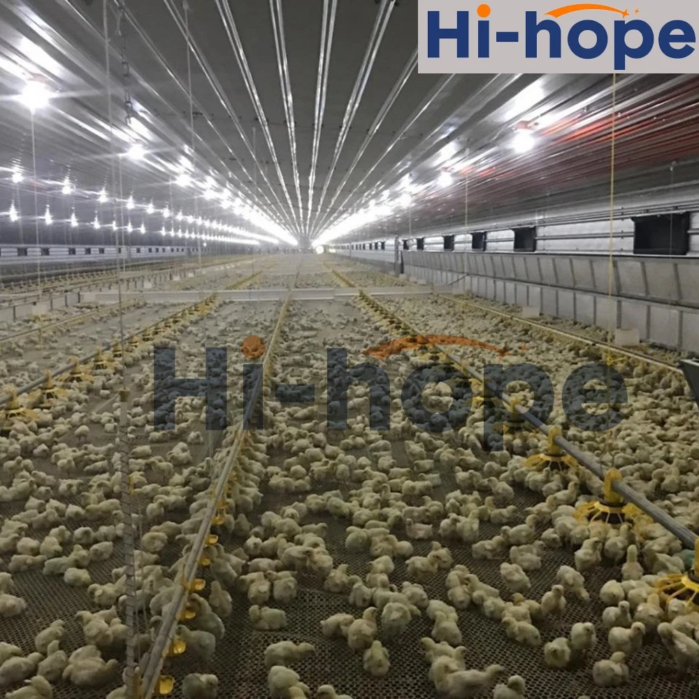 Environment Controlled Light Steel Poultry Prefab Shed Poultry House with Chicken Raising Equipment