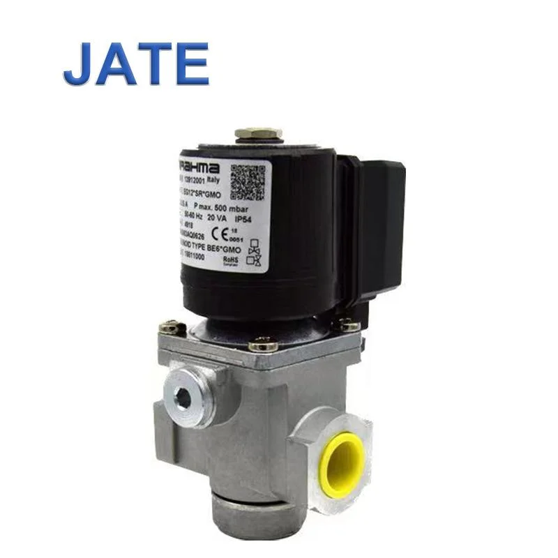 Brahma or Type Eg12 S GMO 13902001 Gas Solenoid Valve GMO Safety Solenoid Control Gas The Electromagnetic Valves for Burner Parts 220V AC