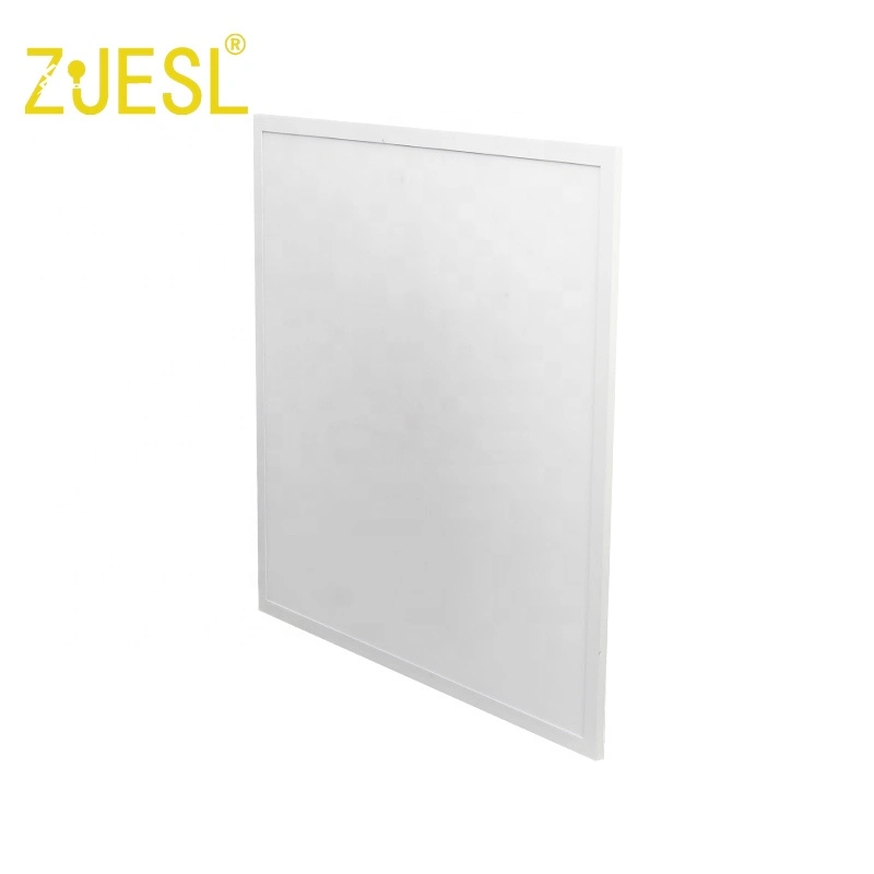 Ceshi LED Approved 2X4FT 20W 30W 40W Waterproof Troffer Mounted Panel Light Lighting