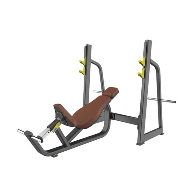 Strength Fitness Equipment Weight Bench Incline Level Row Gym Equipment