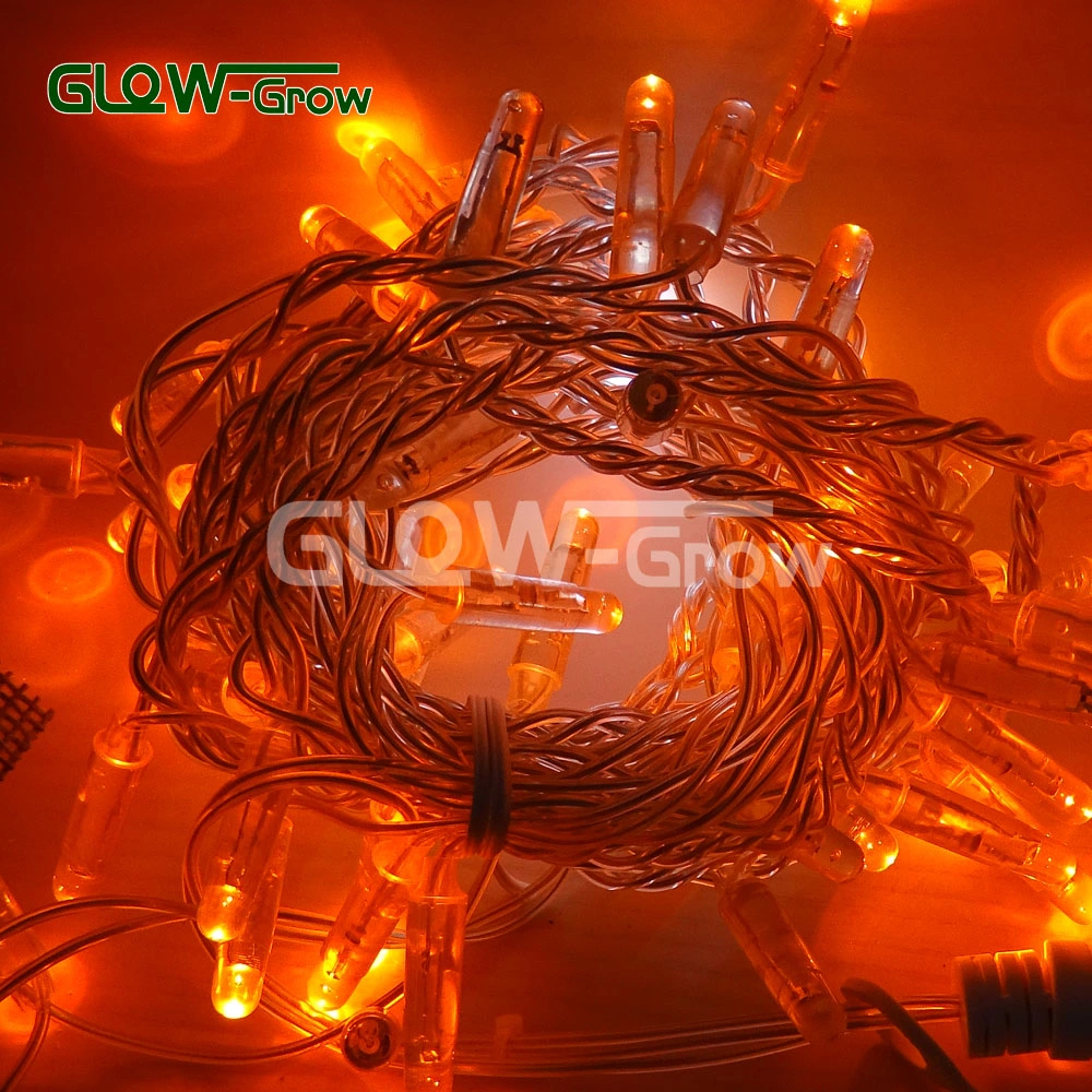 Cool White Transparent PVC Christmas LED String Light with Flash Bulb for Shopping Center Pub Club Concert Hall Cabaret Fashion Show Dance Stage Decoration