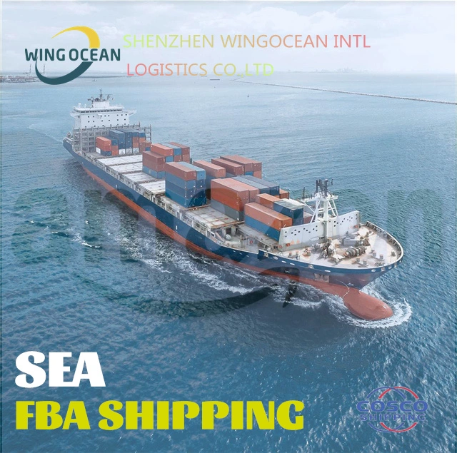 International Sea Freight Shipping Company with Freight Forwarder