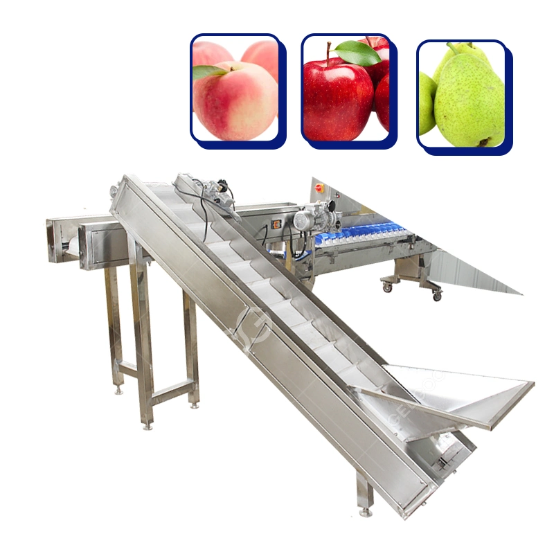 Máquina automática de triagem de tomate Avocado Máquina de triagem de peso de frutas Máquina de triagem