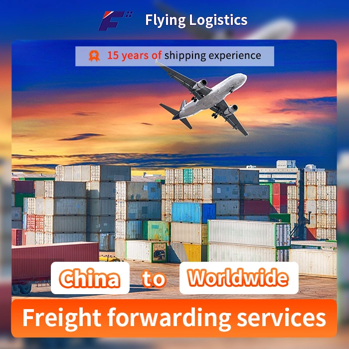 Agente de envíos profesional DHL/FedEx/UPS/TNT desde China al mundo