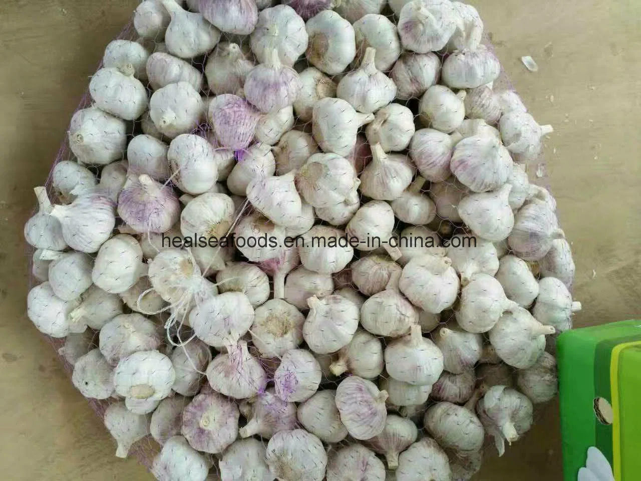 Chinese Fresh Pure White Garlic 5.5cm+