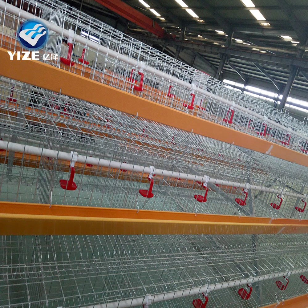 3 Tier 96 Capacity Chicken Layer Poultry Farm Design