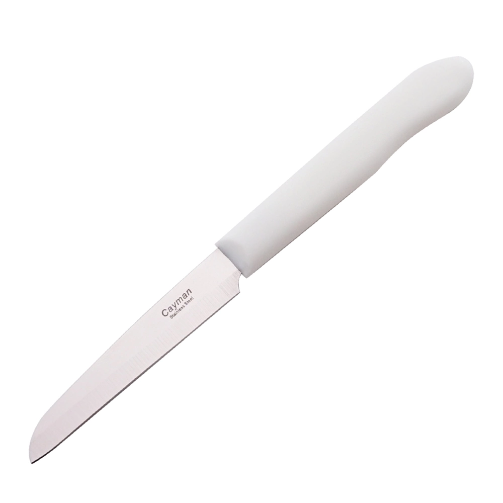 Stainless Steel 3.5 Inch Blade Paring Knife PP Handle