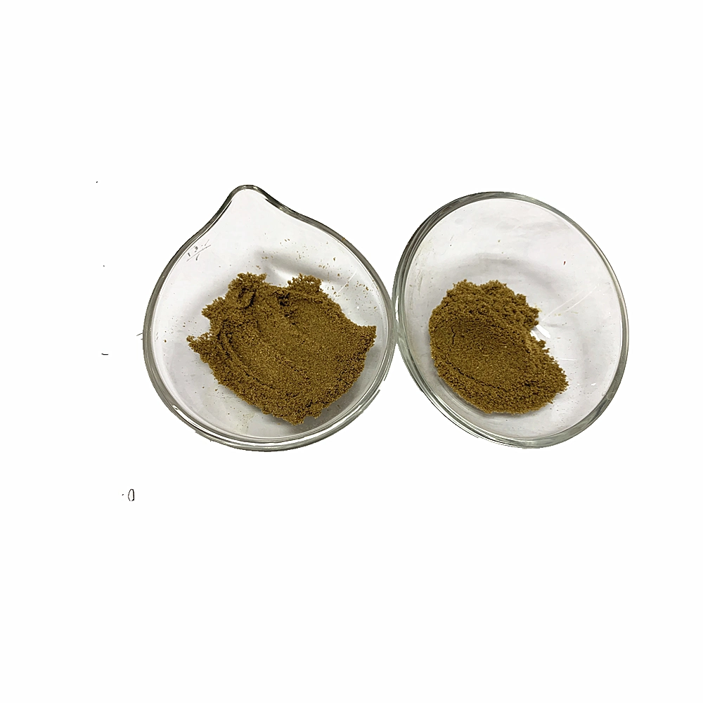 Supply High Quality Black Cumin Seed Extract Powder