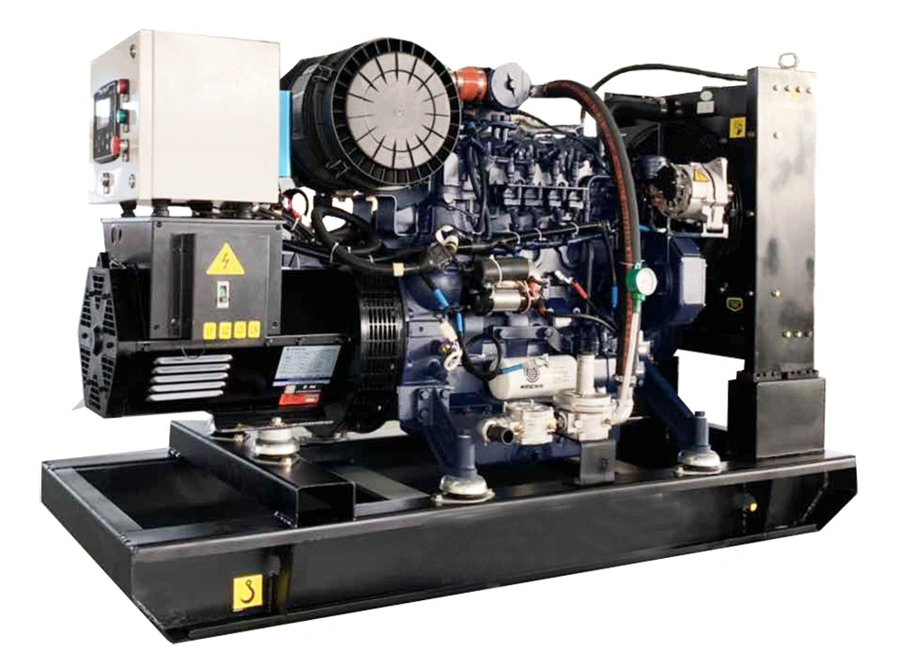 40kw 50kVA LNG CNG Natural Gas Generator Price