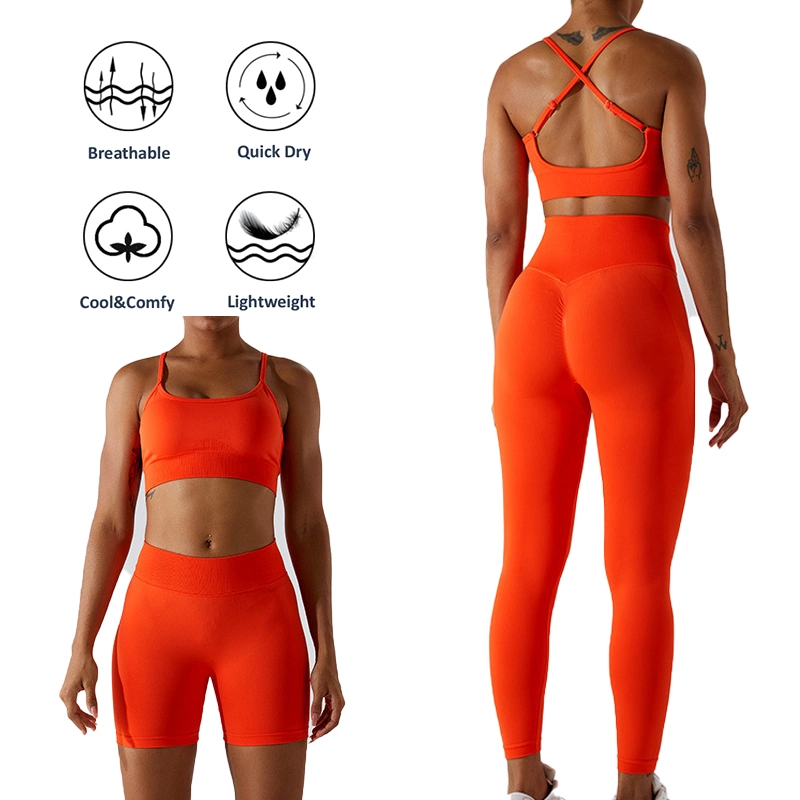 Nuevo Sexy Plus Size Cross Back ropa deportiva sin costuras para mujer, 3pcs Sujetador deportivo + pantalones cortos biker + Leggings de running Personalizar ropa de yoga coincidente