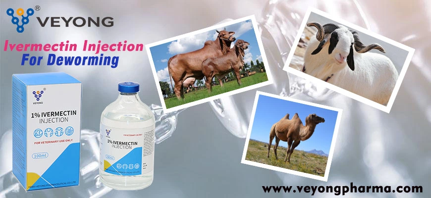 High Quality Used Veterinary Drugs Ivermectin CAS 70288-86-7 for Animals Use