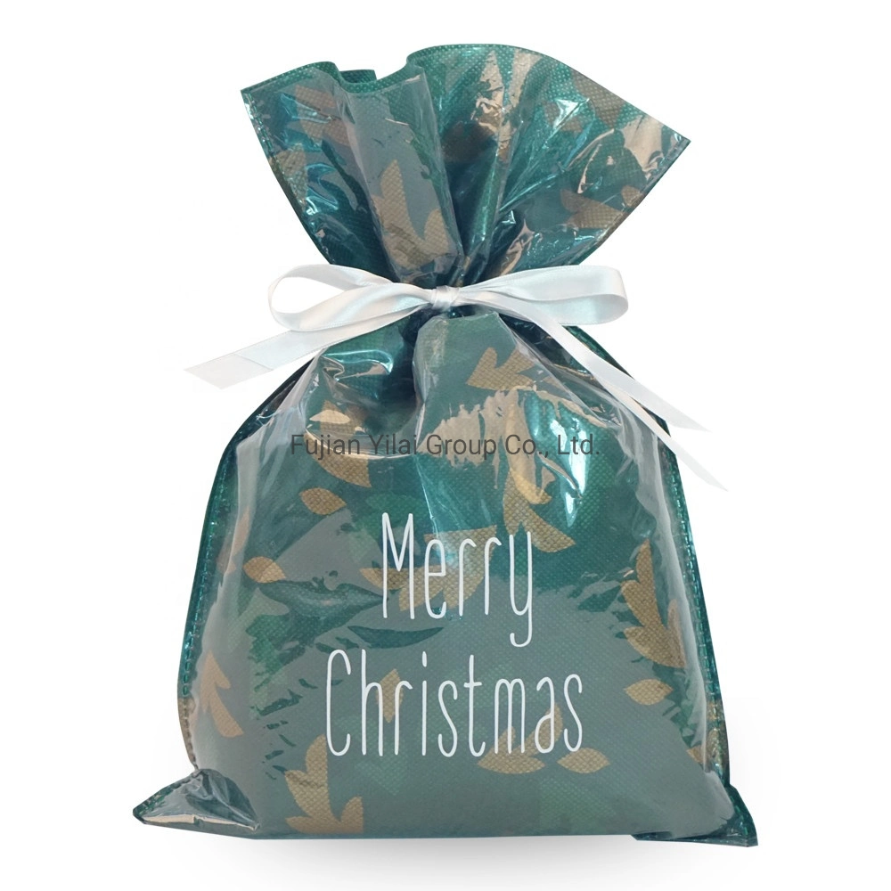 Custom Logo Christmas Gift Package Personalized Design Drawstring Plastic Bag