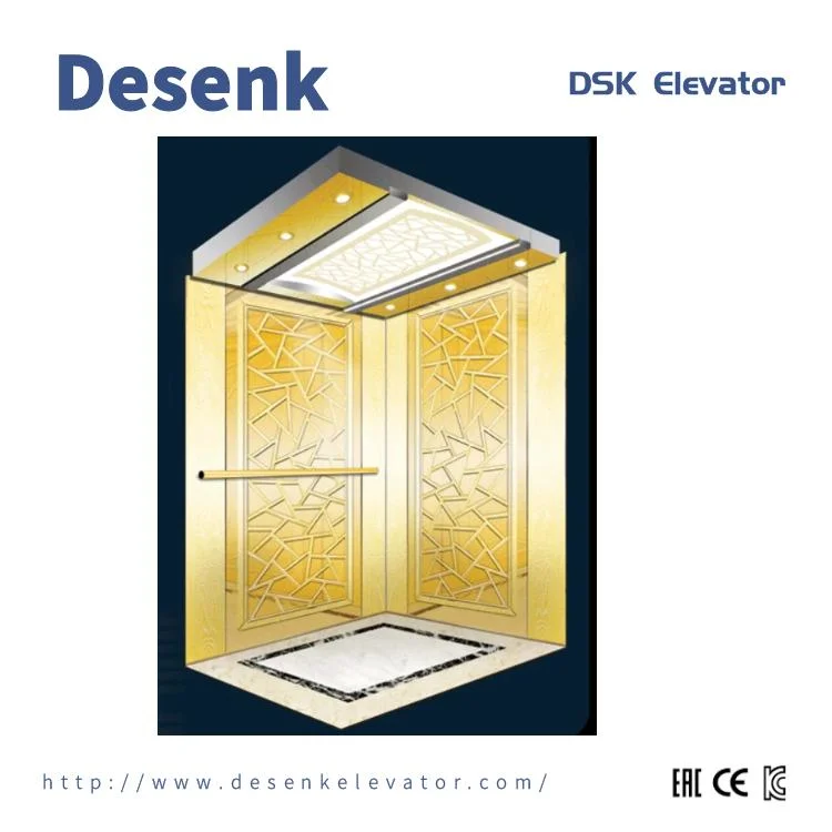 DSK Passenger Elevator Home Elevator Lifts Elevator Parts For Commercial Building Elevator Used