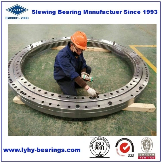 Bridge Crane Slewing Bearing Rks. 061.25.1424 Turntable Bearing