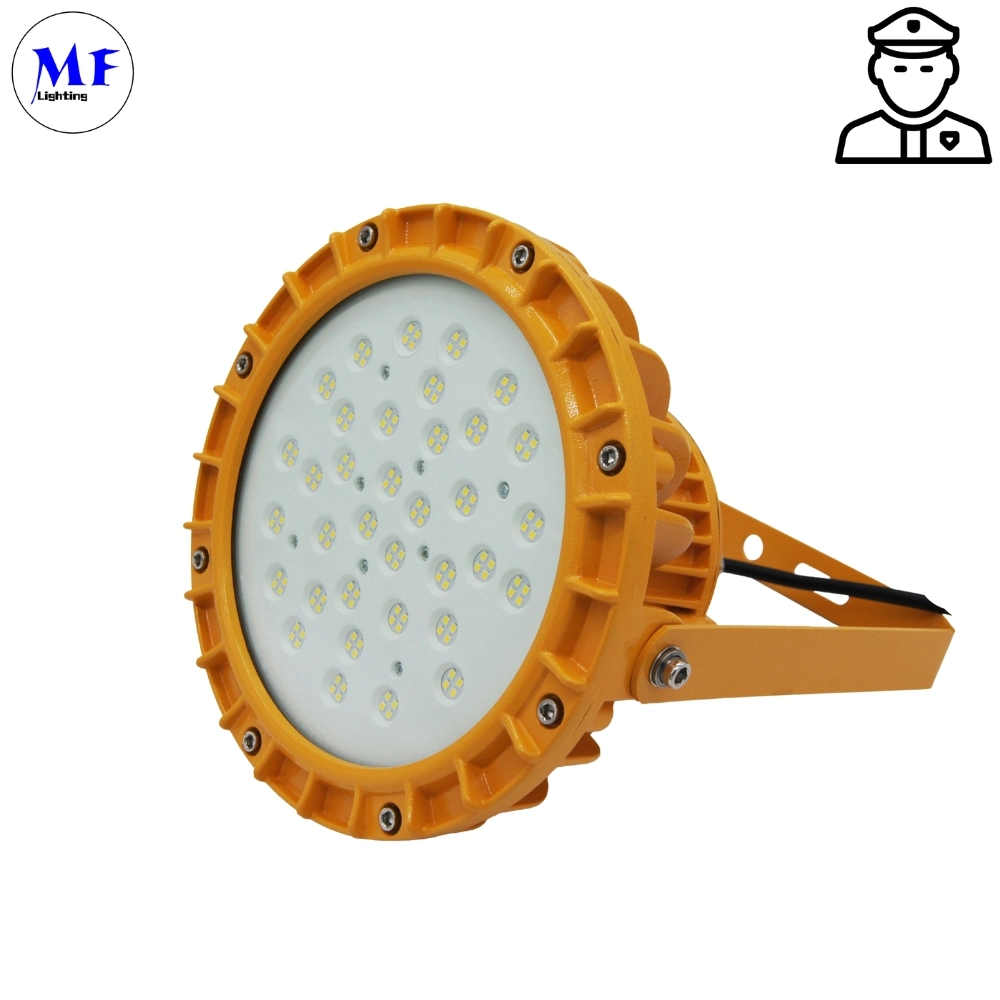 Factory Price Atex Certified IP66 Ik10 10 Years Lifespan High Power Zone 1 Zone 2 LNG Gas Station Oil Industry Chemical Plant 100W Explosion Proof Light