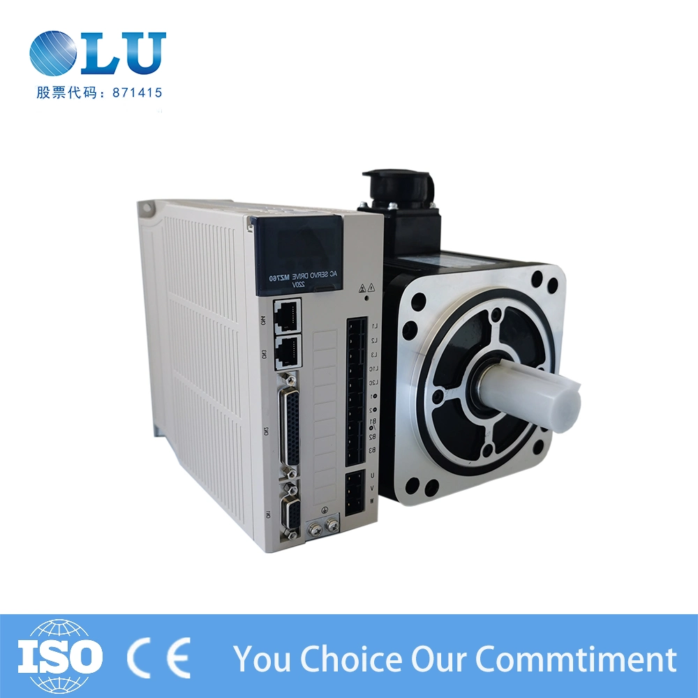 Servo Drive CNC Servo Drive Motor, Servo Drive for Robot Motor Control