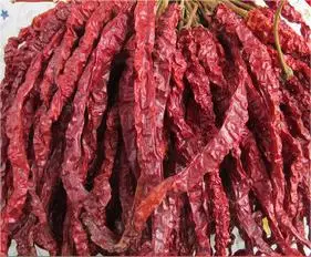 Preço competitivo Dry Chili chinês Long Red Chilies