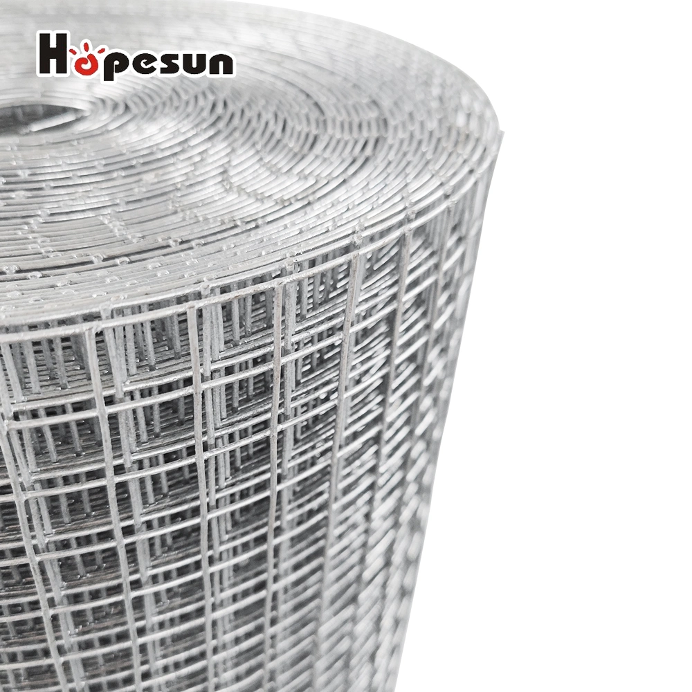 Hot Dipped Galvanized Before Welded Wire Mesh in Roll