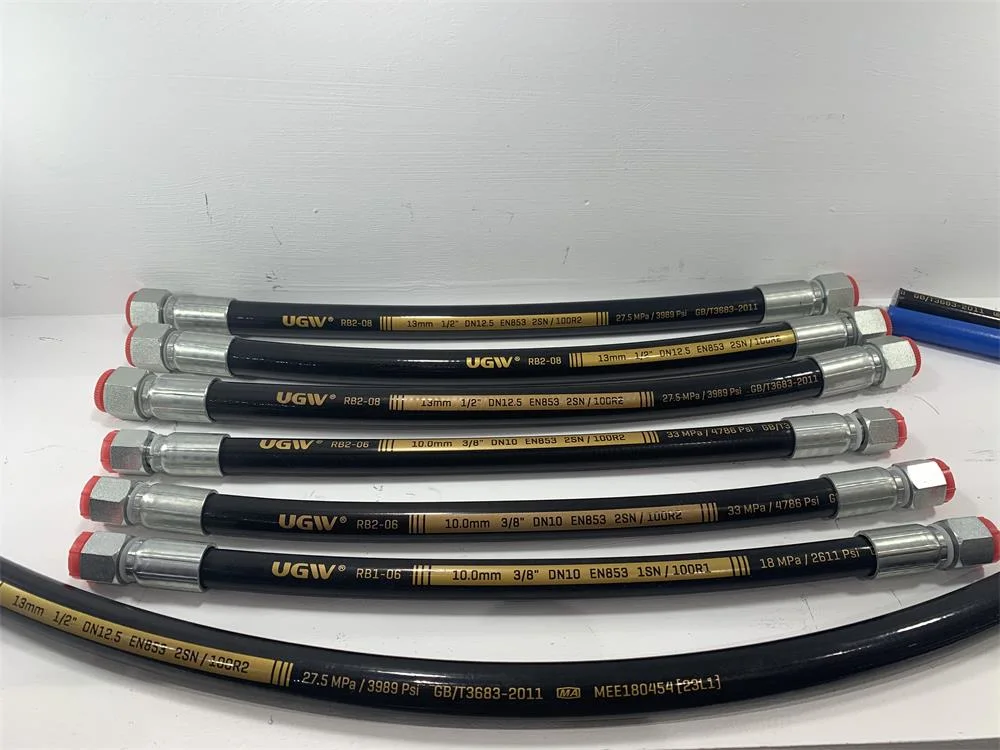 3/8 Inch SAE 100r2at/2sn Hydraulic Rubber Hose 300 Bar High Pressure Flexible Hose