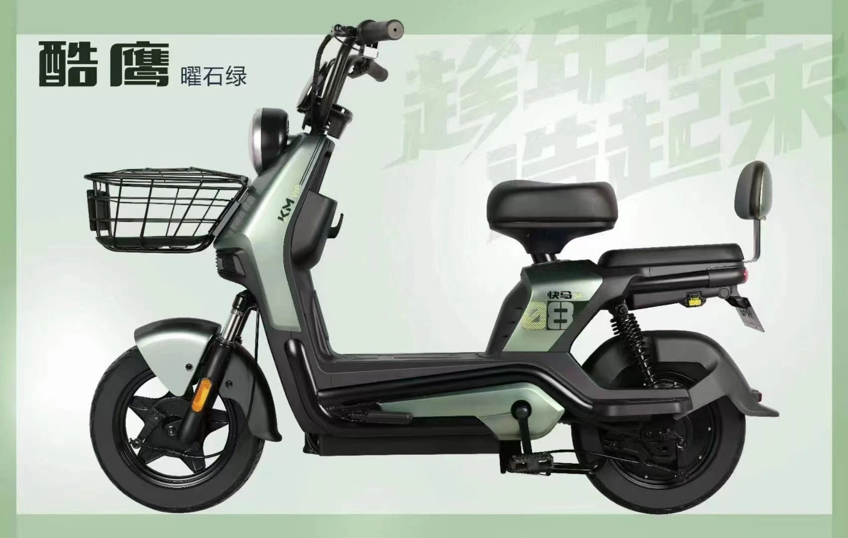 E-Scooter Lithium Batterie abnehmbare Batteriespannung 48V