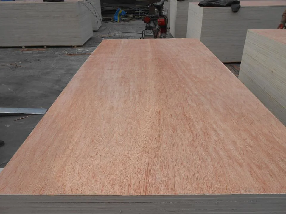 1220*2440*3.6/5.2/9/12/15/18mm Bintangor Plywood Poplar Core BB/CC Packing/Decoration/Furniture