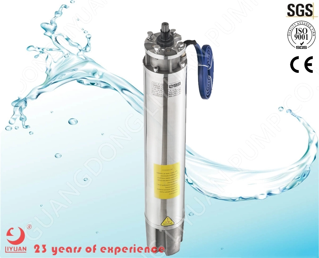 6 Inch Three-Phase 10 HP Li Yuan Electrical 380 V Submersible Pump Motor